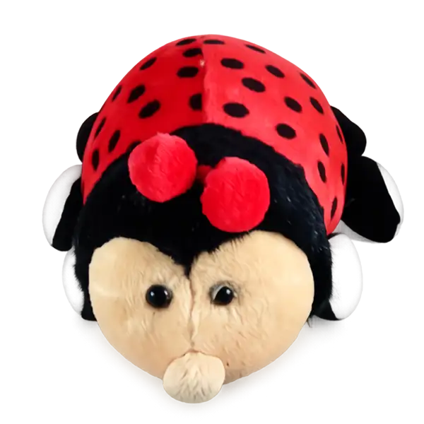 Branded lady bird stuff toy