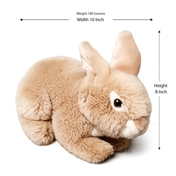 Brown Bunny Rabbit Plush Toy