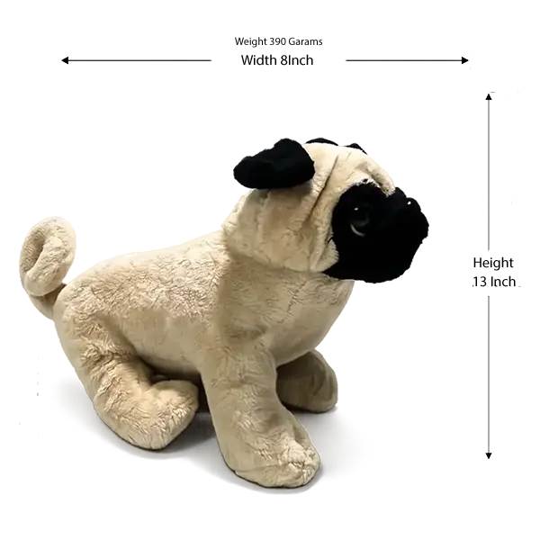 Pug Puppy Dog