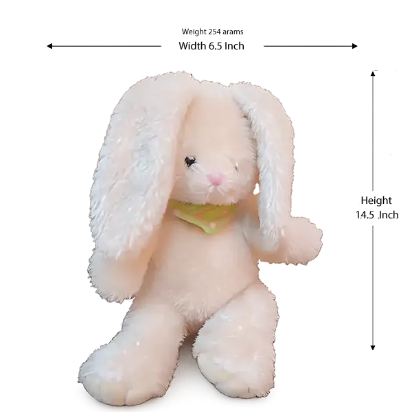 Rabbit Bunny