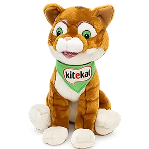 Cat Plush Toy