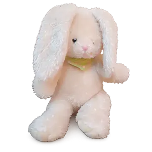 Rabbit Bunny