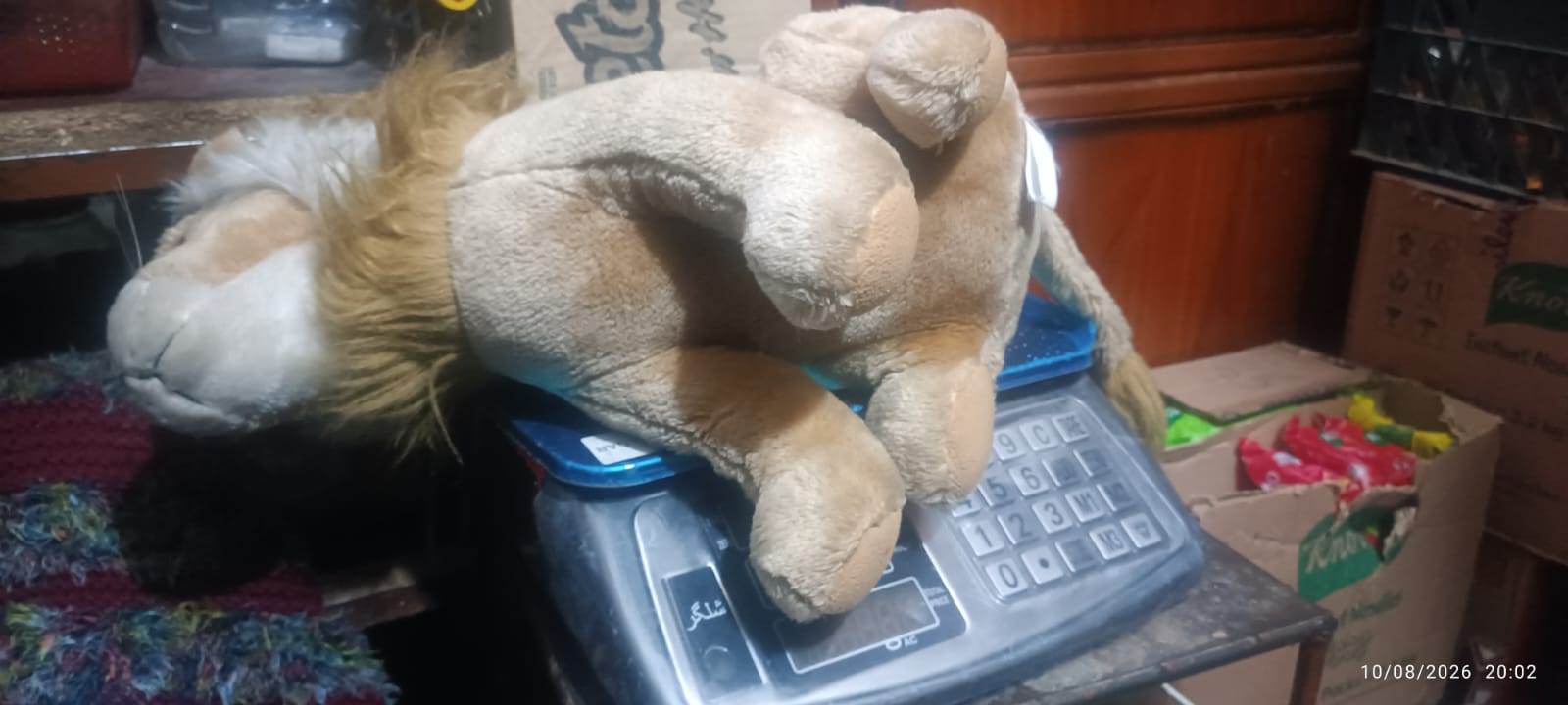 Realistic Lion Stuffed Animal Plush Toy