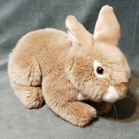 Brown Bunny Rabbit Plush Toy